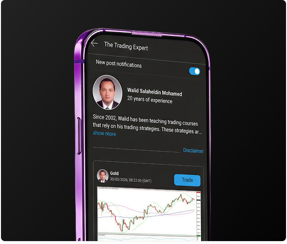 El experto en trading